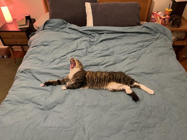 *yawn*