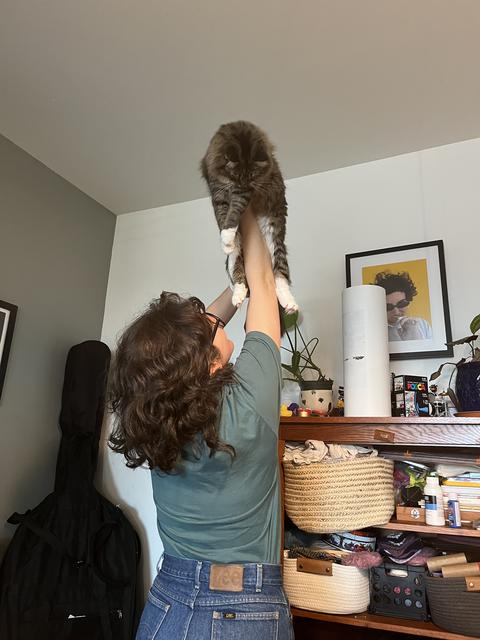 Air jail (Isabel wants you to know that Poppy was purring the whole time)