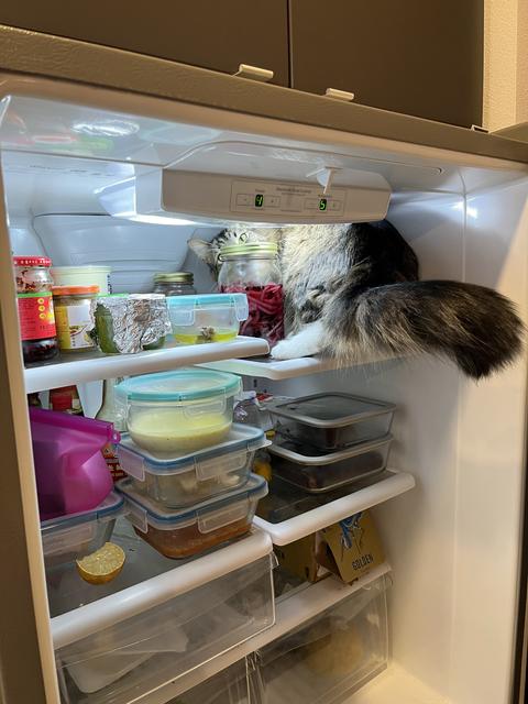 refrigerate after opening